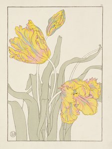 Lale, J. Foord (fl.1890) plaka 16, Dekoratif Çiçek Çalışmaları yayınından. 1901, 1899